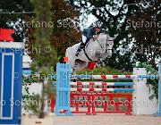 PALMIZI Corrada J GioCav2013 S5 3369 : Campionati Italiani Giovani Cavalli, Cattolica, Corrada J, PALMIZI Gianluca, ph Stefano Secchi ©